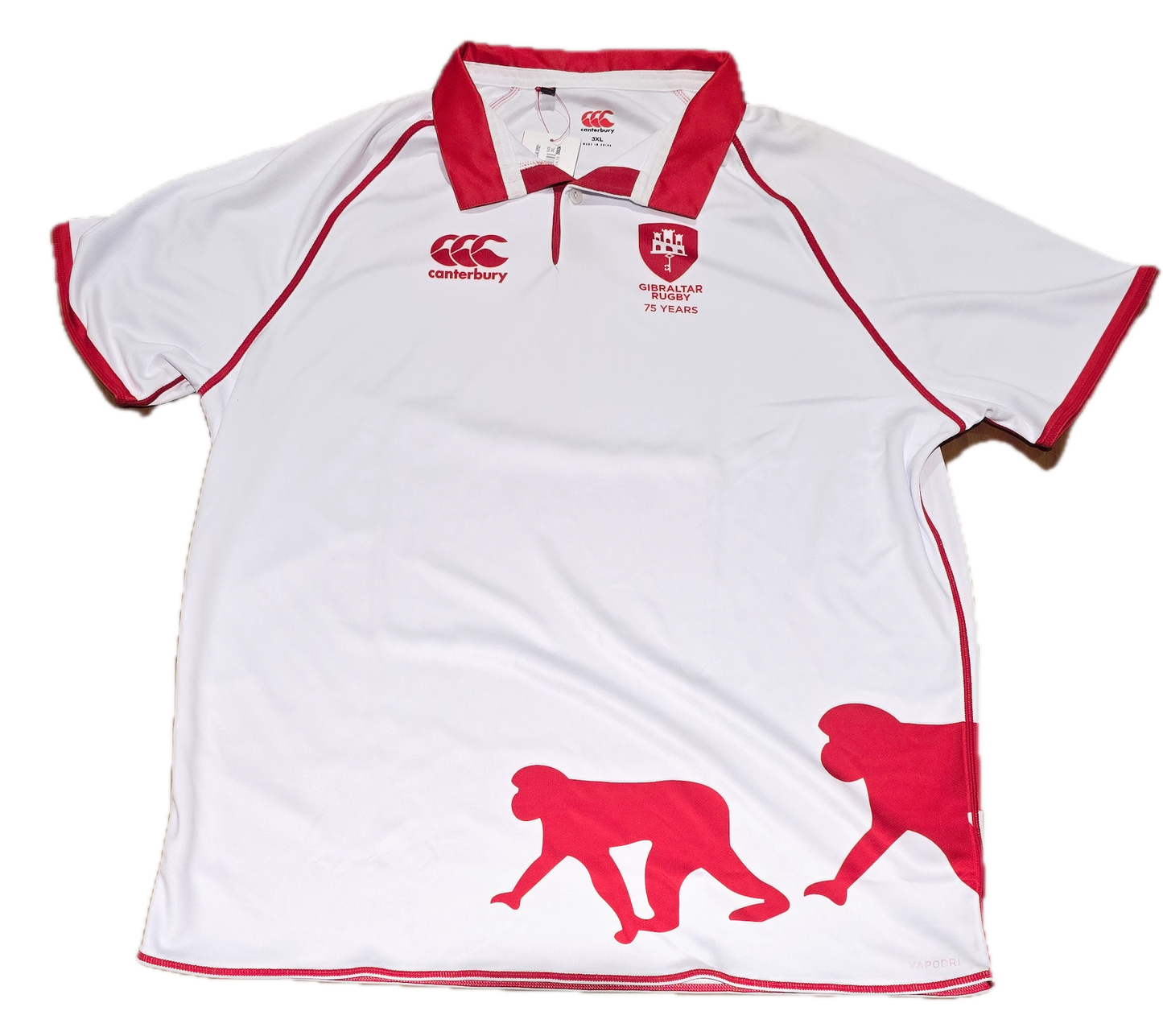 Canterbury Polo 75 Years